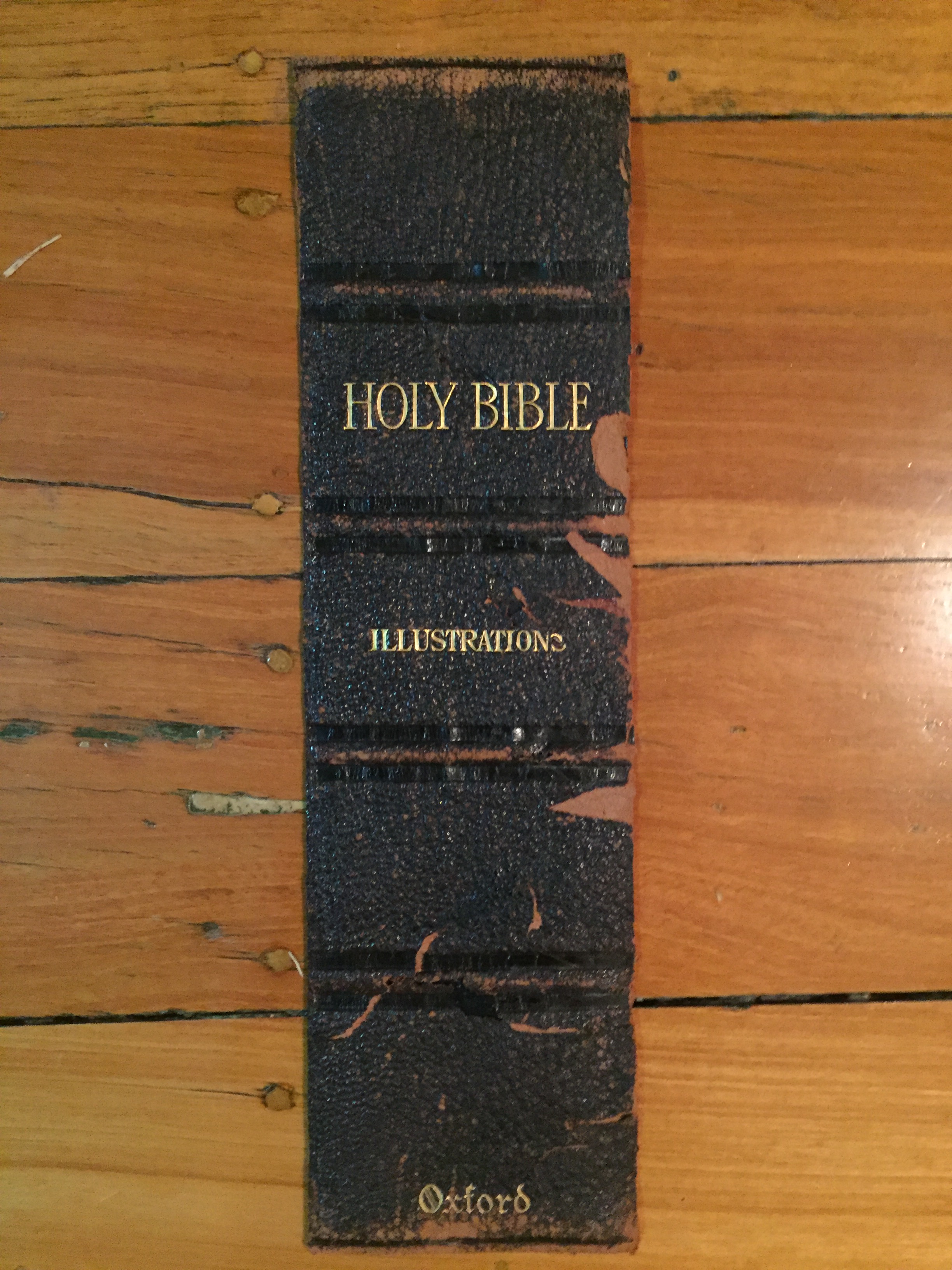 Hamilton Bibble The Hamilton Bible | Julie Hamilton's Adventures